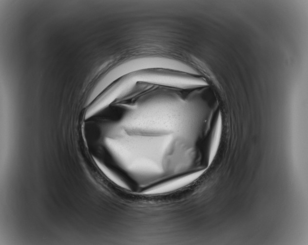 X0000085240538200703301750