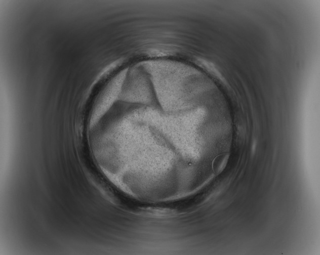 X0000085240539200703301750