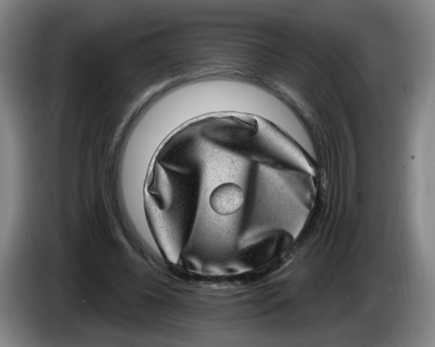 X0000085240540200703301750