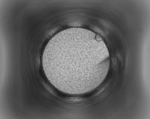 X0000085240541200703301750