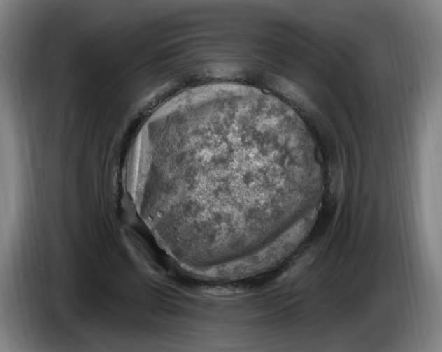 X0000085240542200703301750