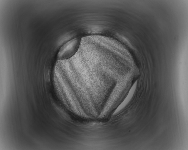 X0000085240543200703301750