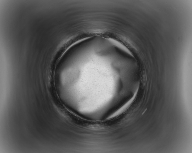X0000085240544200703301750
