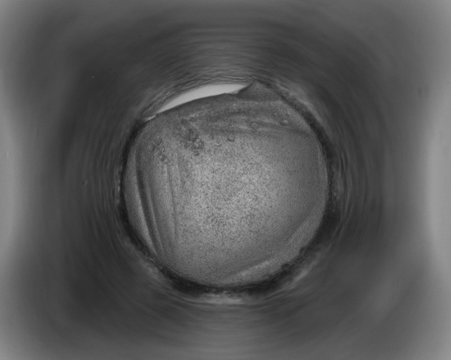 X0000085240545200703301750