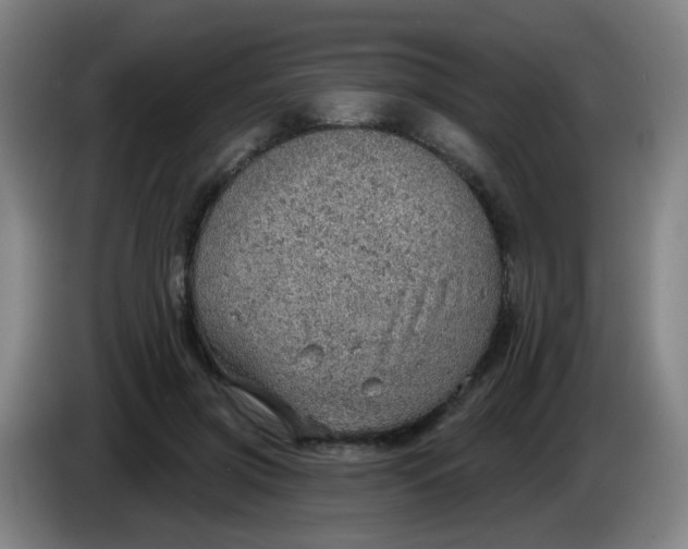 X0000085240549200703301750