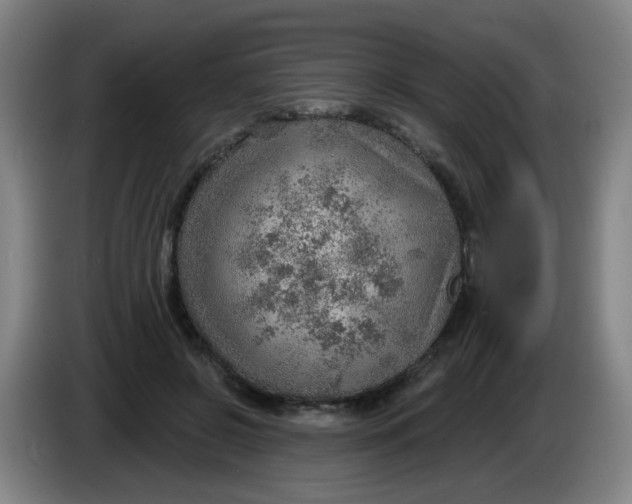 X0000085240550200703301750