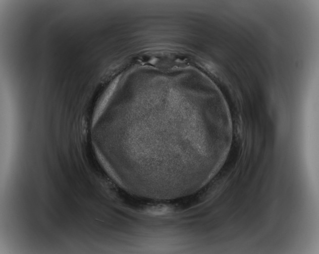 X0000085240551200703301750