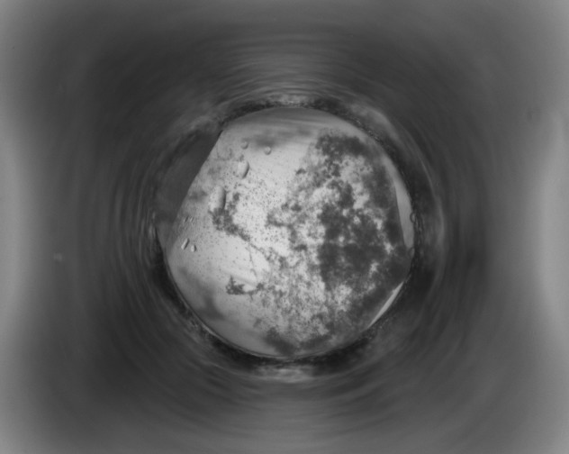 X0000085240553200703301750