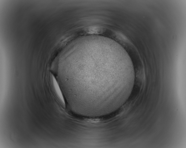 X0000085240554200703301750