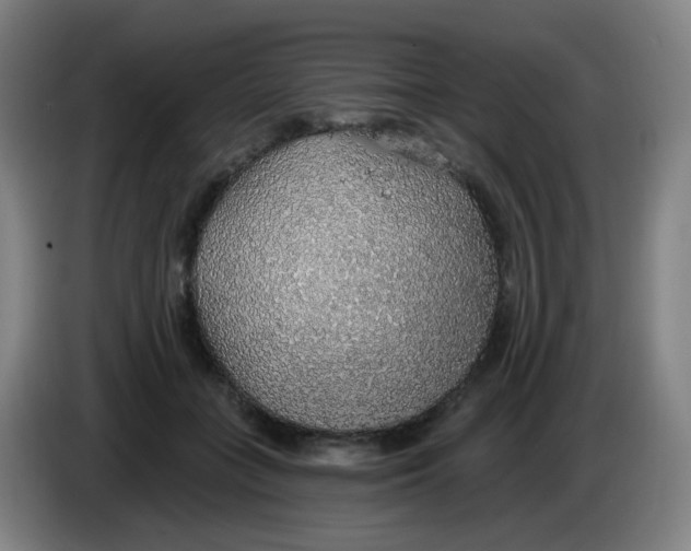 X0000085240555200703301750