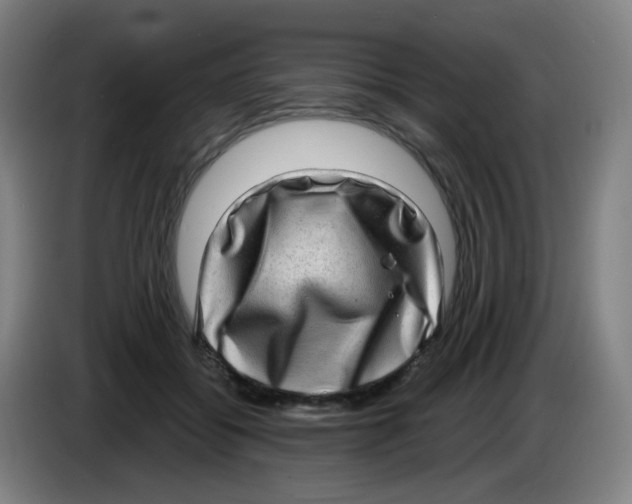 X0000085240556200703301750