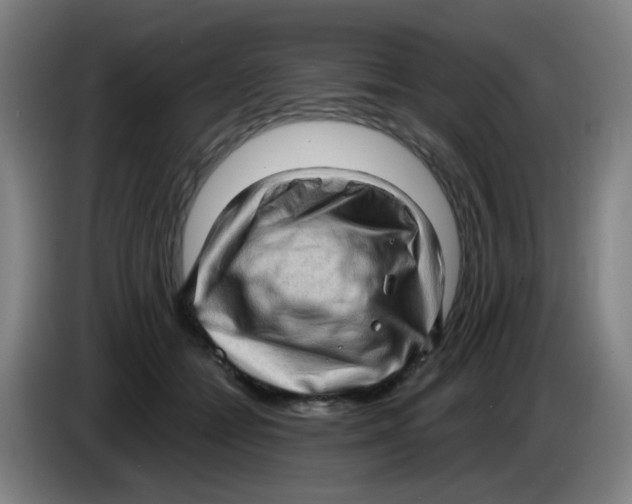 X0000085240558200703301750