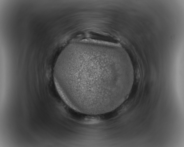 X0000085240559200703301750