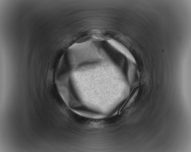 X0000085240560200703301750