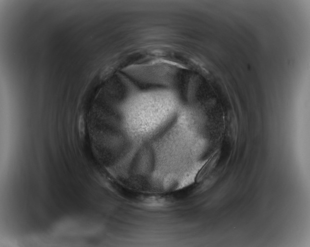 X0000085240562200703301750