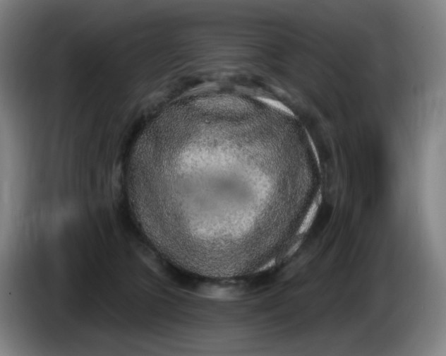 X0000085240563200703301750