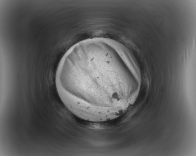 X0000085240565200703301750