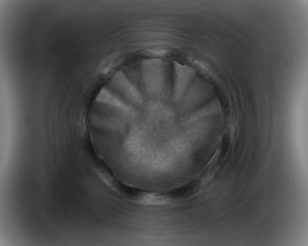 X0000085240568200703301750