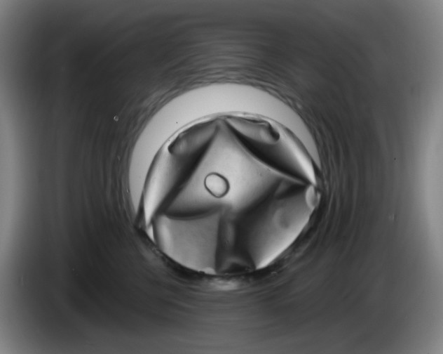 X0000085240570200703301750