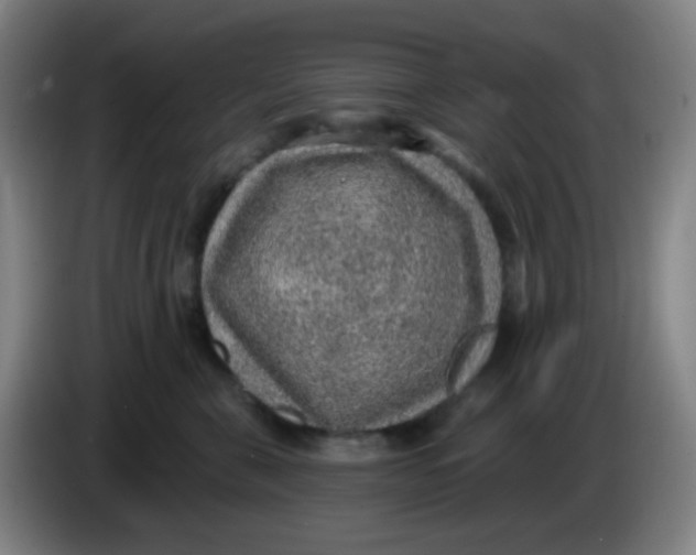 X0000085240571200703301750