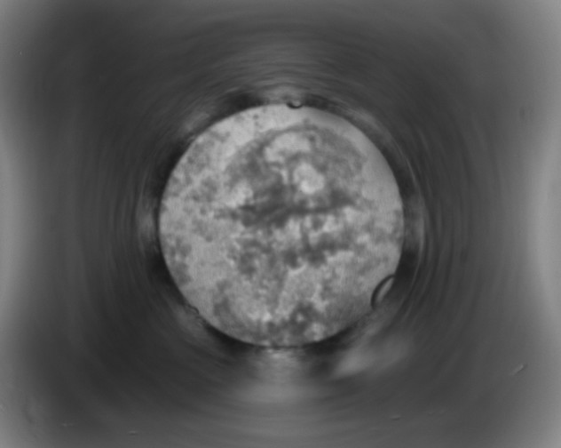 X0000085240573200703301750