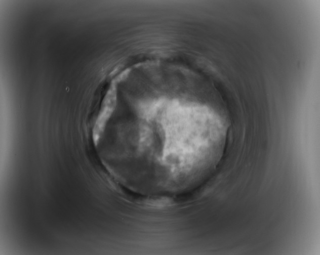 X0000085240576200703301750