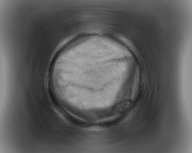 X0000085240578200703301749