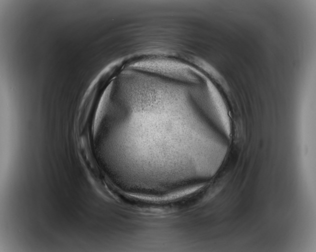 X0000085240580200703301749