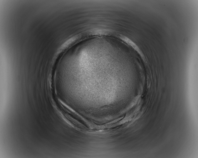 X0000085240581200703301749