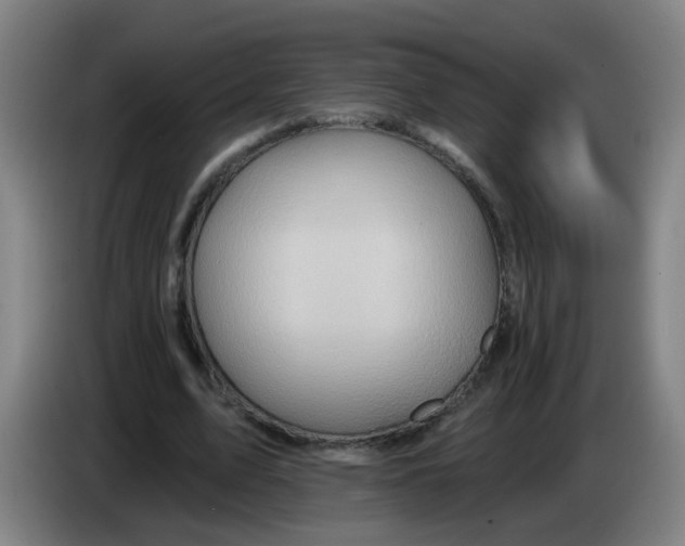 X0000085240583200703301749