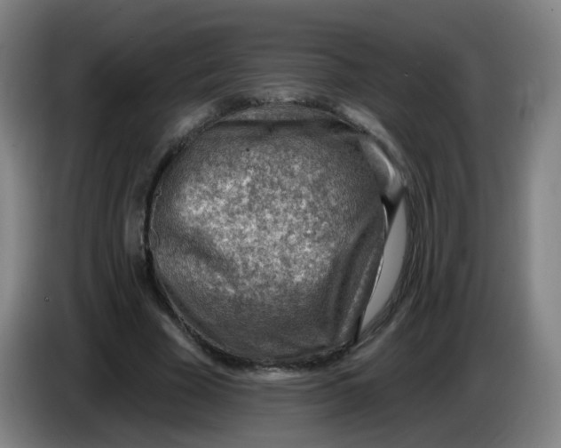 X0000085240585200703301749