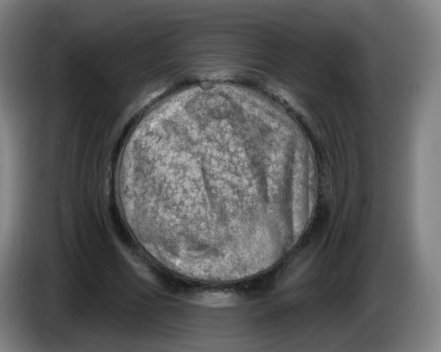 X0000085240586200703301749