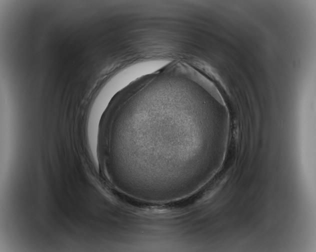 X0000085240589200703301749