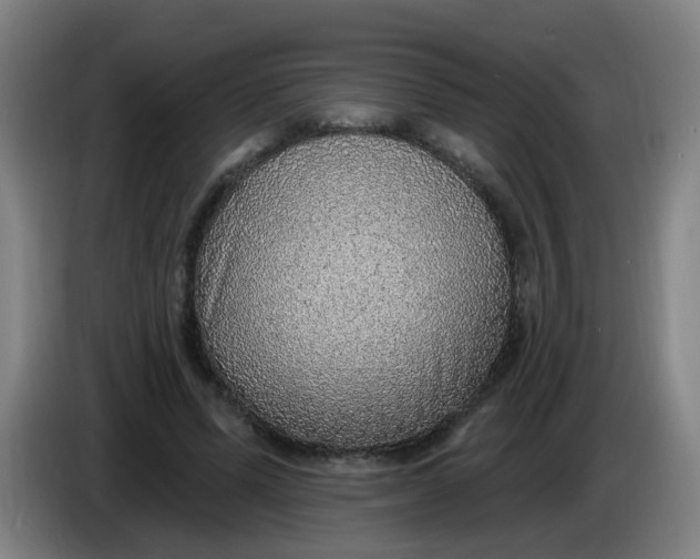X0000085240591200703301749