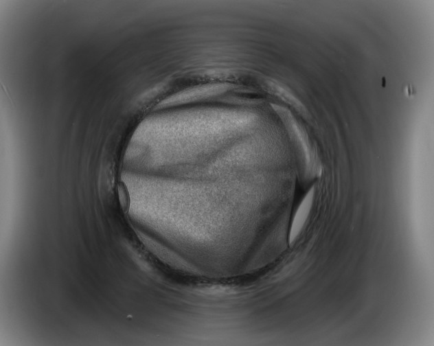 X0000085240593200703301749