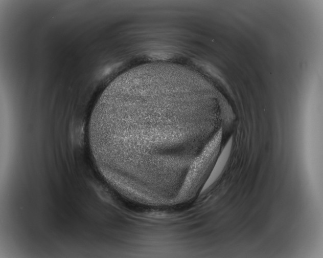 X0000085240596200703301749