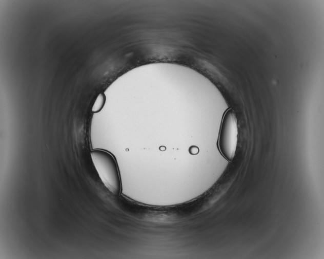 X0000085240597200703301749