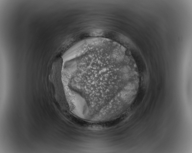 X0000085240598200703301749