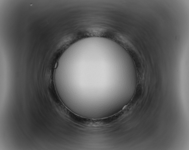 X0000085240599200703301749