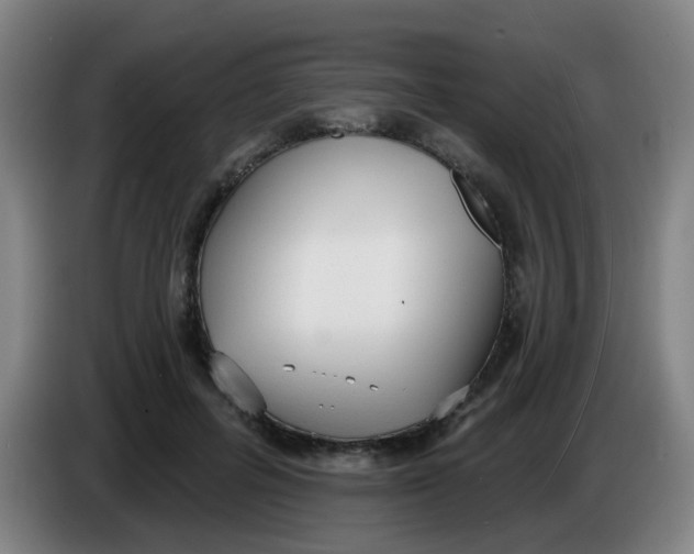X0000085240600200703301749
