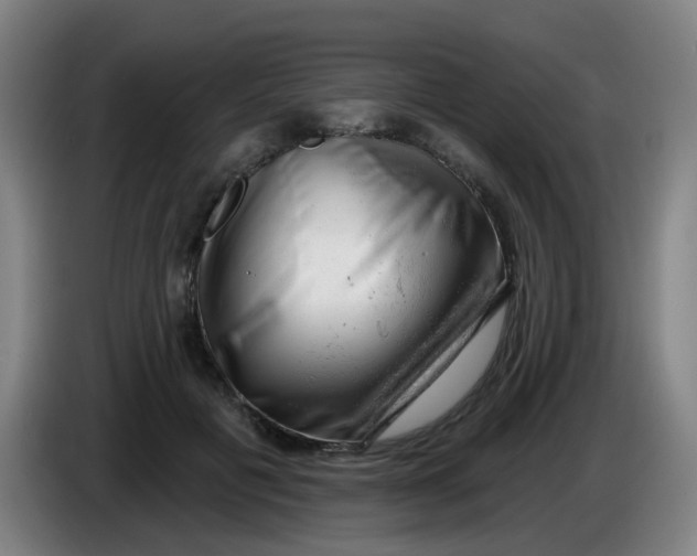 X0000085240601200703301749