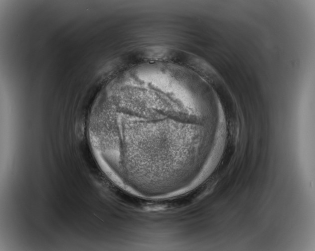 X0000085240602200703301749