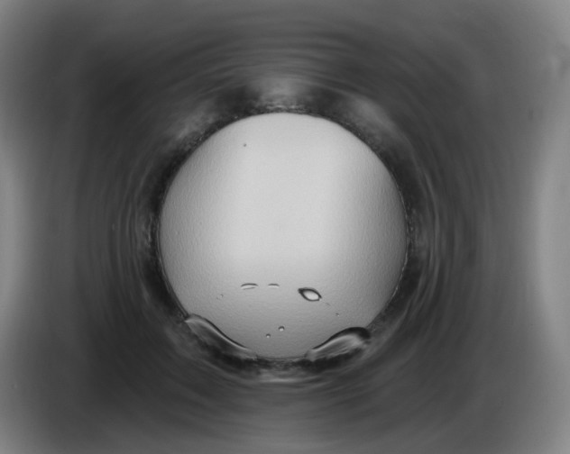 X0000085240603200703301749