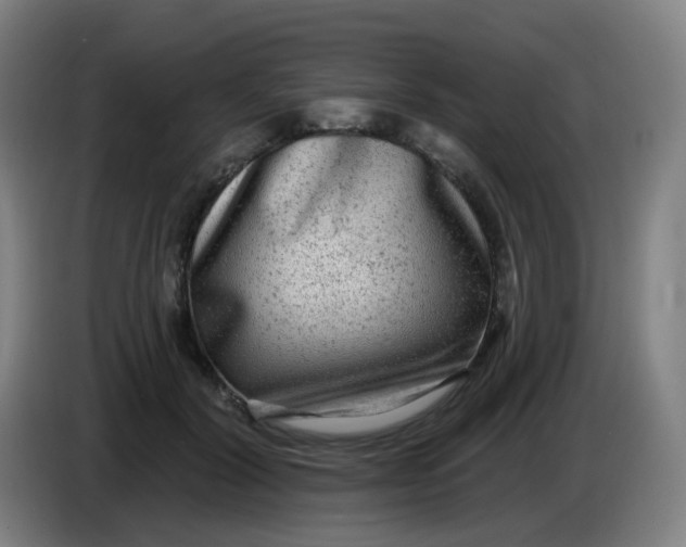 X0000085240604200703301749