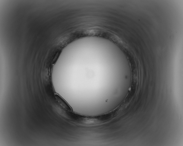 X0000085240605200703301749