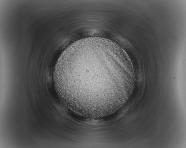 X0000085240607200703301749
