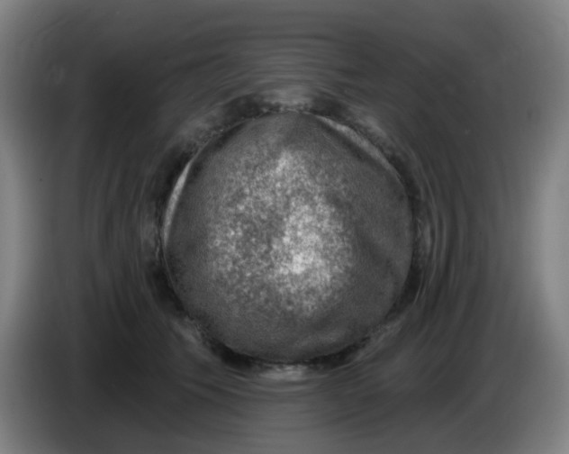 X0000085240609200703301749