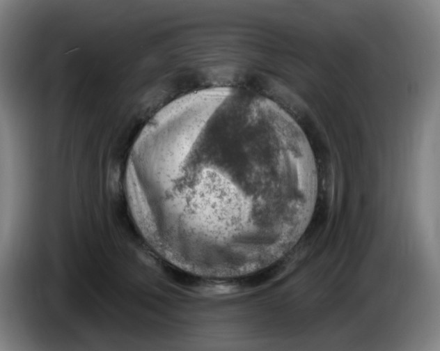 X0000085240610200703301749