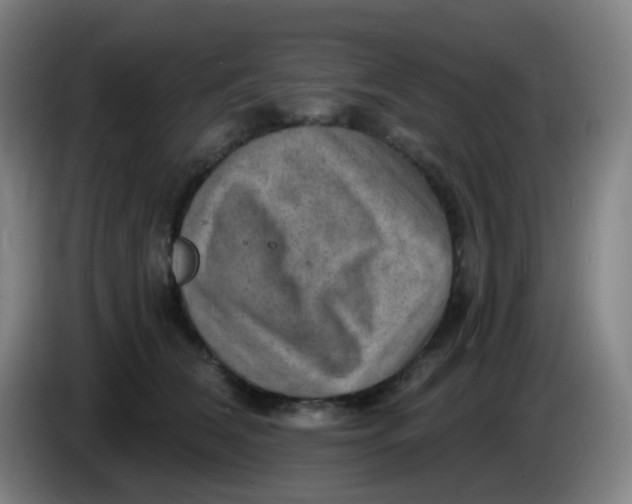 X0000085240612200703301749