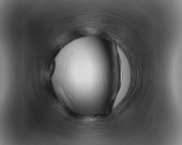 X0000085240613200703301749